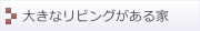 傫ȃrO